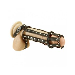 Arnés Completo para Pene y Testículos 8 Fantasy C-Ringz Anillo Pesado Cock Pipe Negro - Erotiks | Tienda erótica online